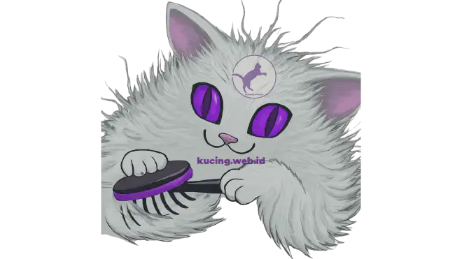 Apa itu Grooming Kucing?