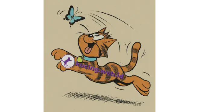 Bagaimana cara kucing berkembang biak?