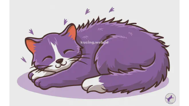 Berapa Kali Kucing Mandi?