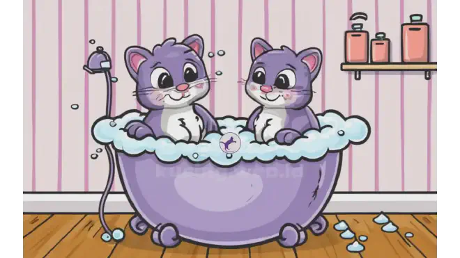 Kapan Anak Kucing Boleh Dimandikan?