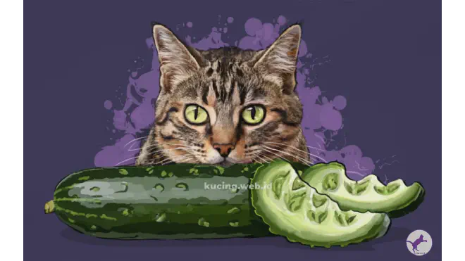 Kenapa Kucing Takut Timun