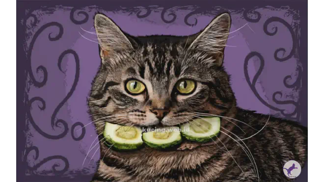 Kenapa Kucing Takut Timun