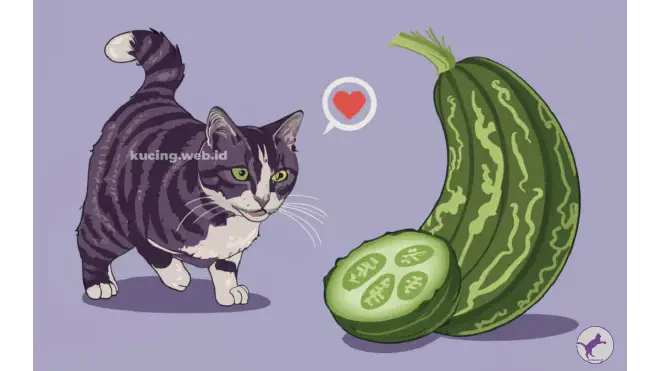Kenapa Kucing Takut Timun