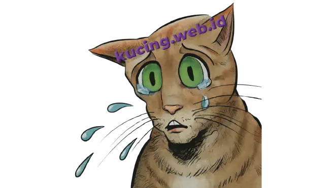 Kenapa Mata Kucing Berair?