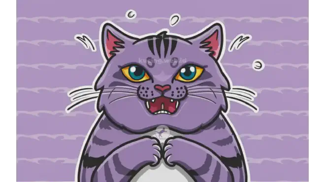 Kenapa Perut Kucing Berbunyi?